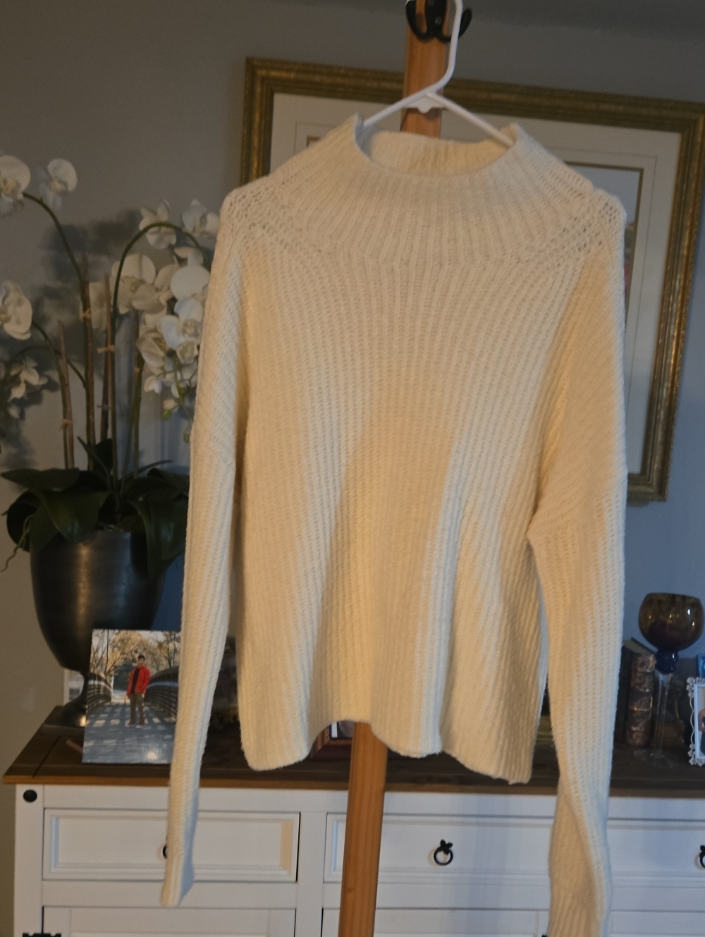 Anthropologie Chunky Cream Ribbed Turtleneck Sweater